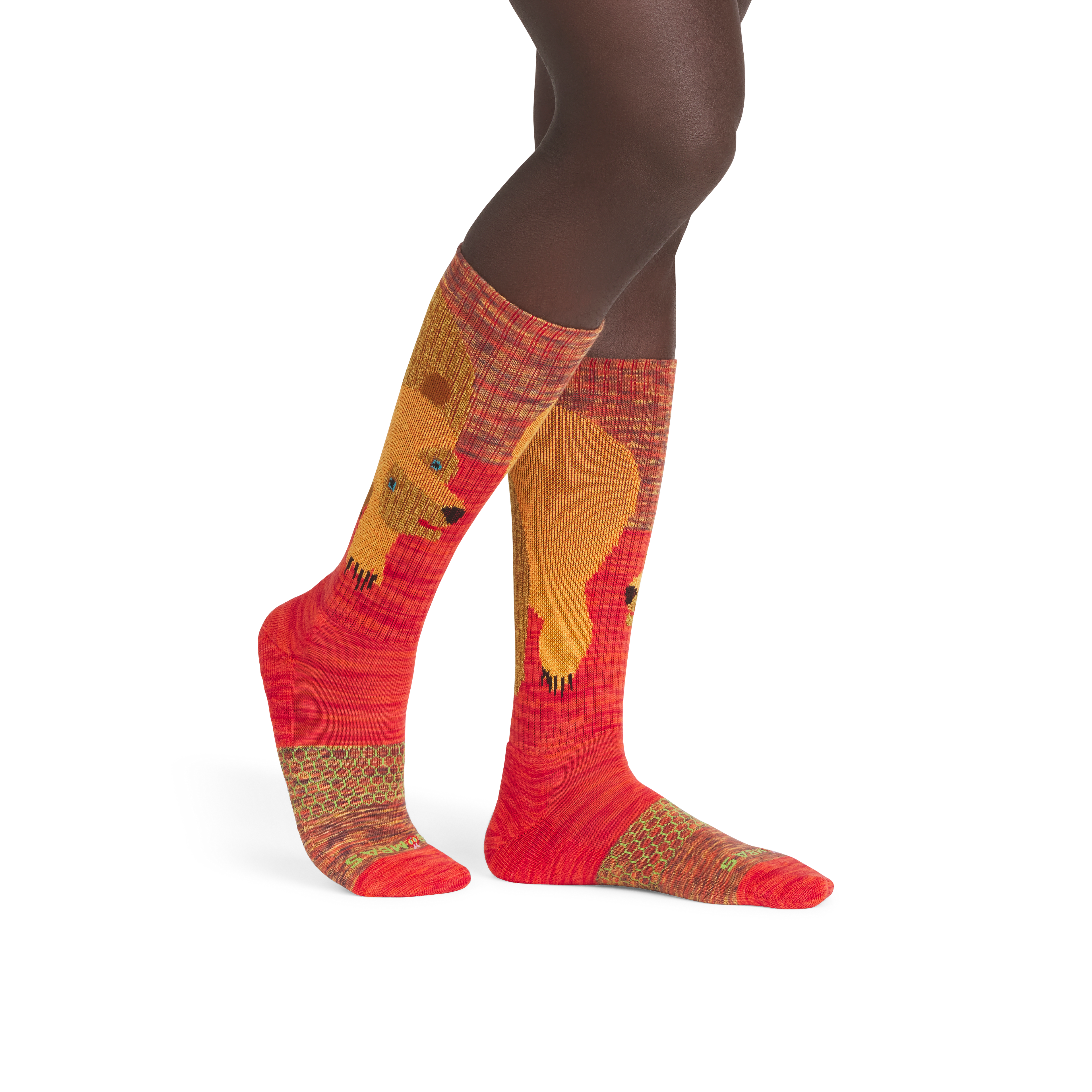 Eric Carle Big Brown Bear Calf Socks - brown bear MO1 [5293]