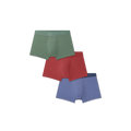 Cinnabar Sage Mix
